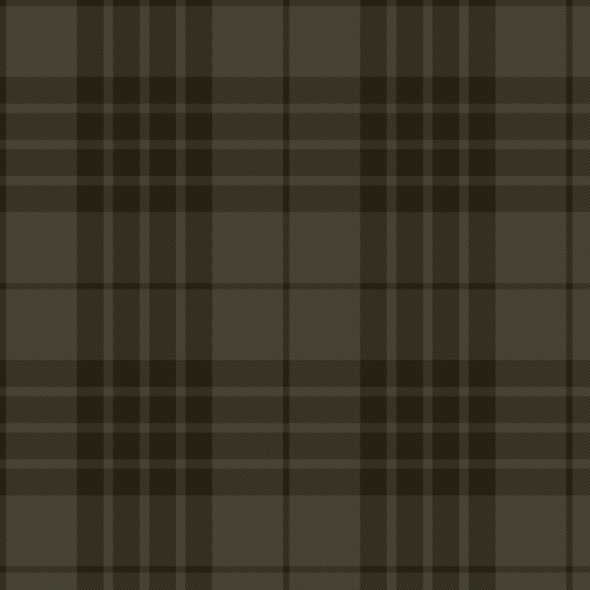 Grey spirit tartan fashion