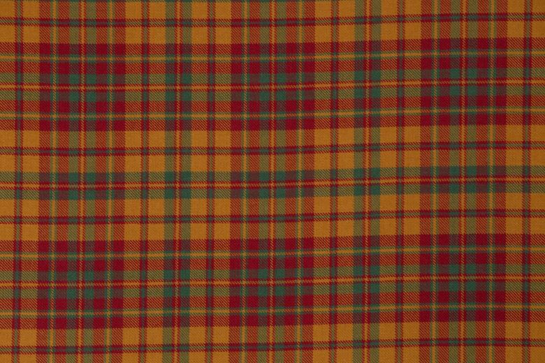 Old & Rare Tartan Ties - MacKenzie / Young