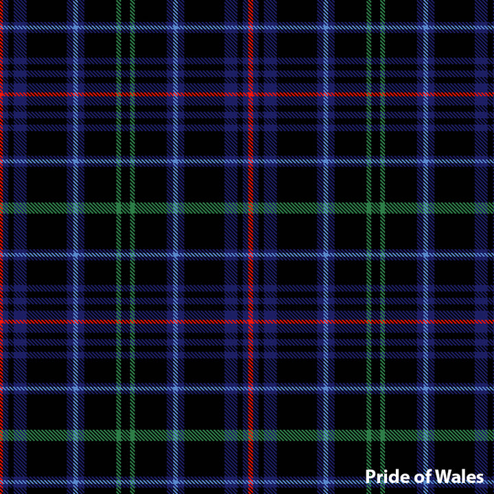 8 Yard Hand Made Kilt - Welsh Surname Tartans - Anderson Kilts